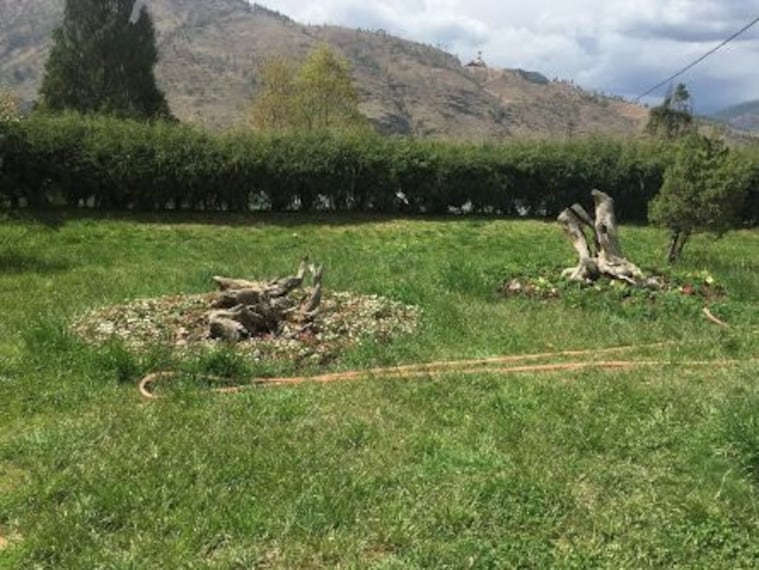 Royal Botanical Garden_2